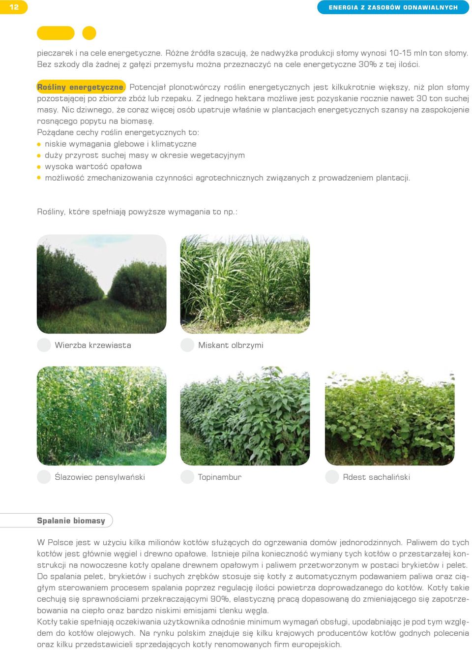 Potencjał plonotwórczy roślin energetycznych jest kilkukrotnie większy, niż plon słomy pozostającej po zbiorze zbóż lub rzepaku.
