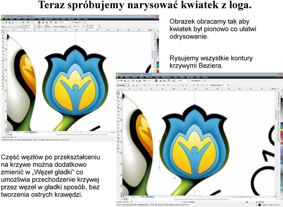 Rysujemy wszystkie kontury krzywymi Beziera.