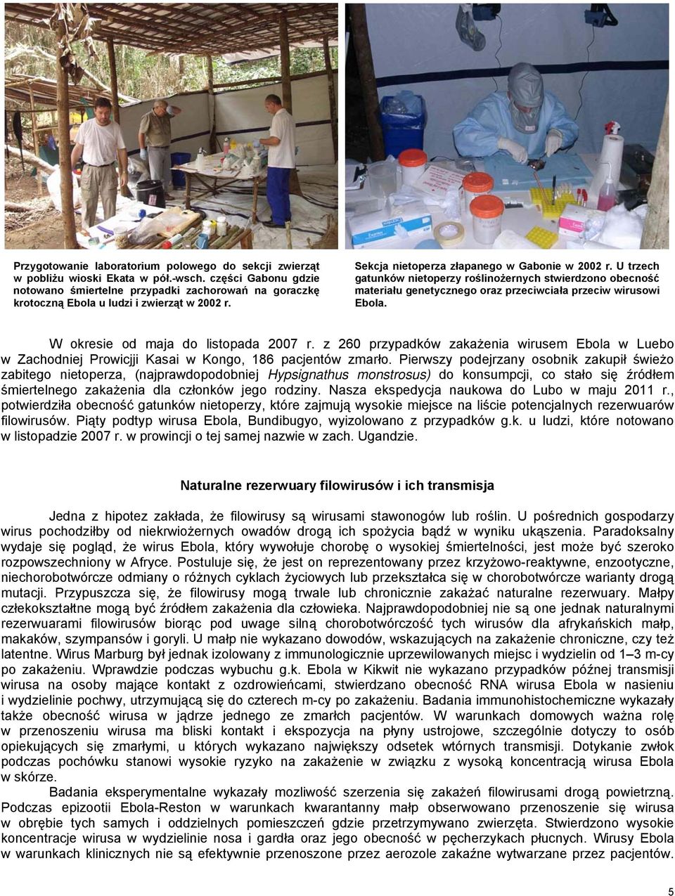 U trzech gatunków nietoperzy roślinożernych stwierdzono obecność materiału genetycznego oraz przeciwciała przeciw wirusowi Ebola. W okresie od maja do listopada 2007 r.