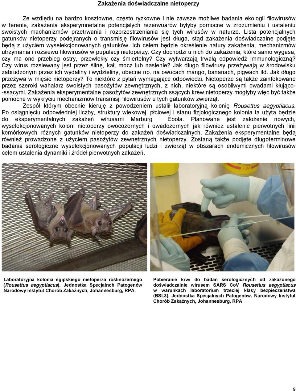Lista potencjalnych gatunkόw nietoperzy podejranych o transmisję filowirusόw jest długa, stąd zakażenia doświadczalne podjęte będą z użyciem wyselekcjonowanych gatunkόw.