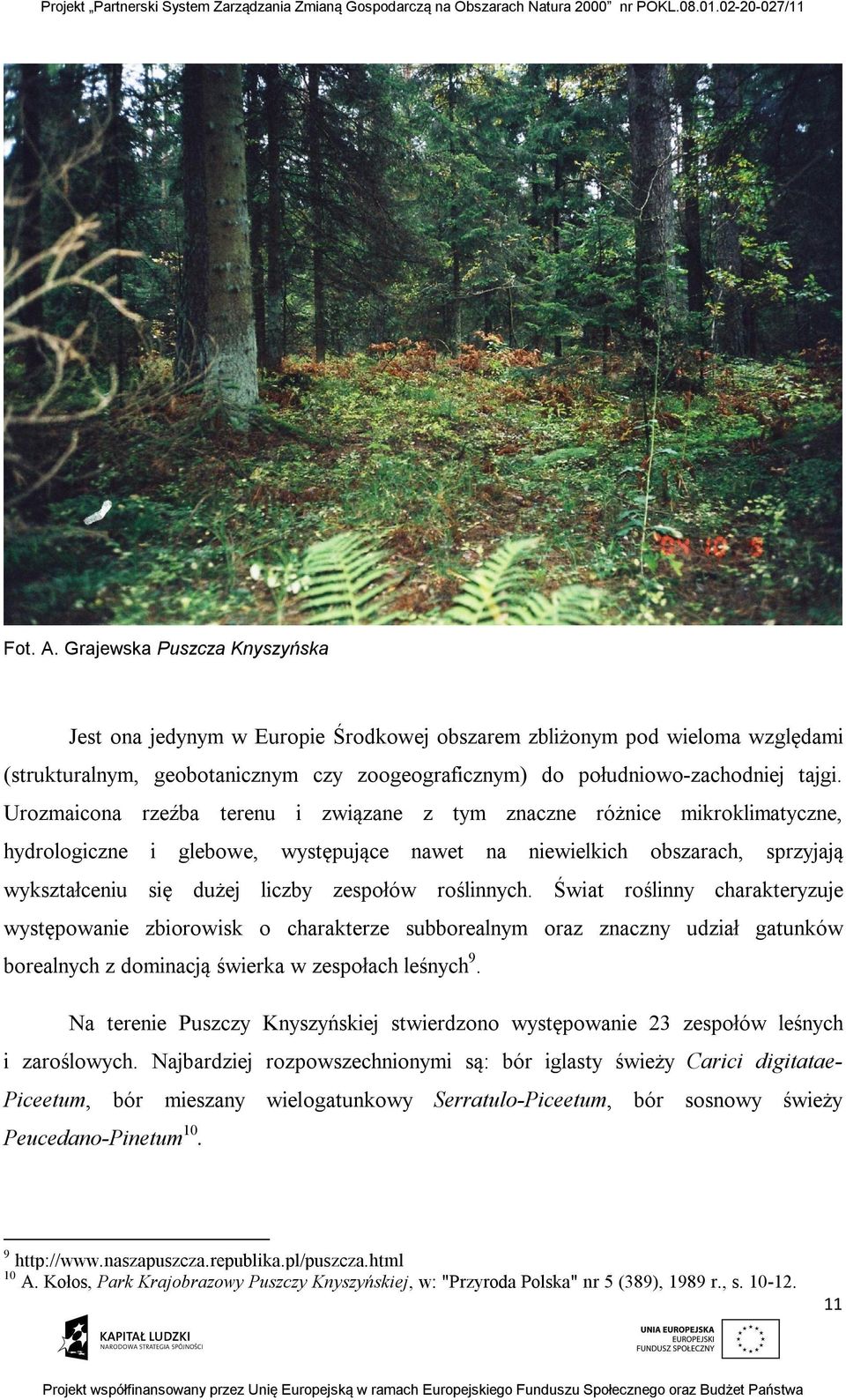 roślinnych. Świat roślinny charakteryzuje występowanie zbiorowisk o charakterze subborealnym oraz znaczny udział gatunków borealnych z dominacją świerka w zespołach leśnych 9.