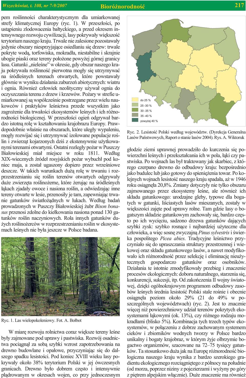 Trwale nie zalesione pozostawa³y jedynie obszary niesprzyjaj¹ce osiedlaniu siê drzew: trwale pokryte wod¹, torfowiska, mokrad³a, niestabilne i skrajnie ubogie piaski oraz tereny po³o one powy ej