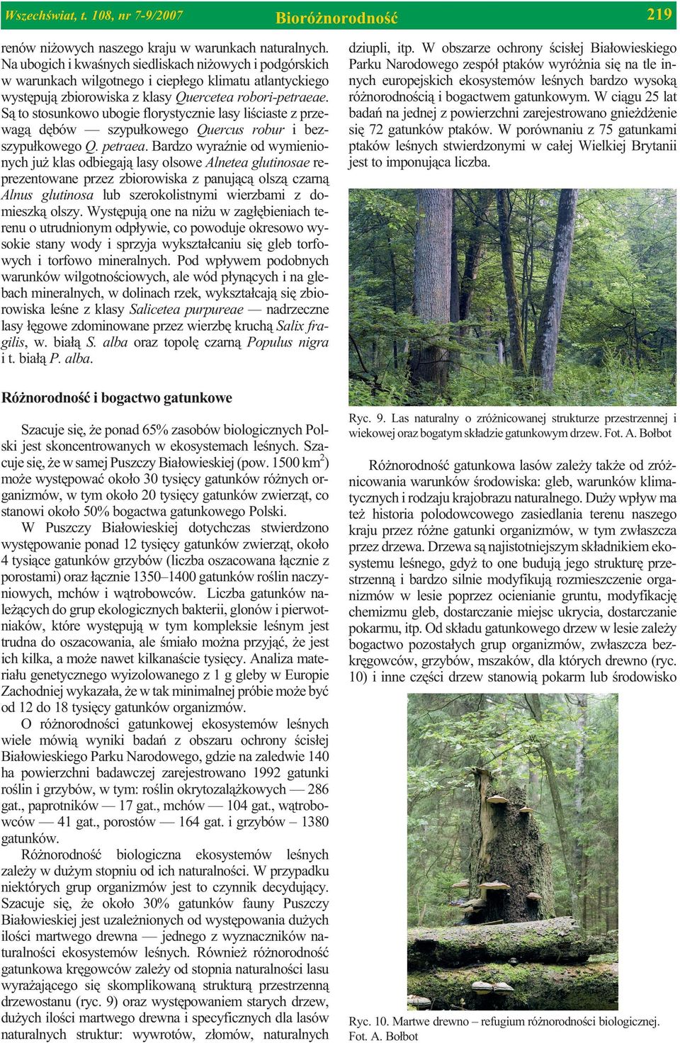 S¹ to stosunkowo ubogie florystycznie lasy liœciaste z przewag¹ dêbów szypu³kowego Quercus robur i bezszypu³kowego Q. petraea.