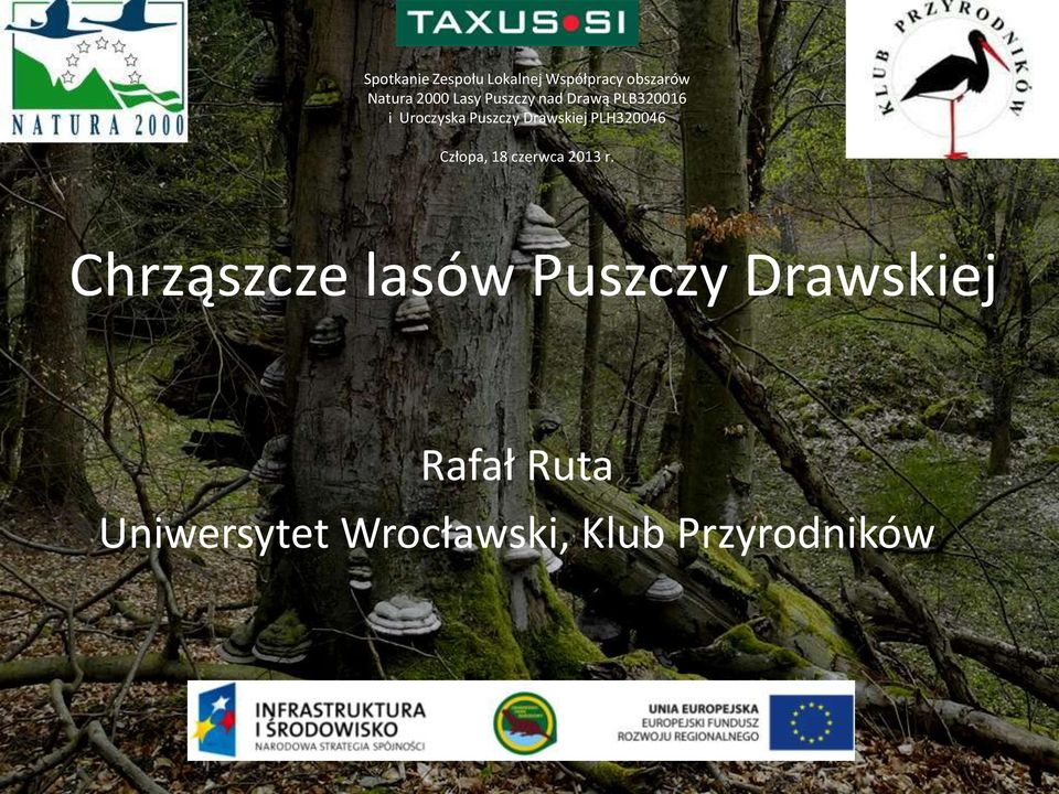Drawskiej PLH320046 Człopa, 18 czerwca 2013 r.