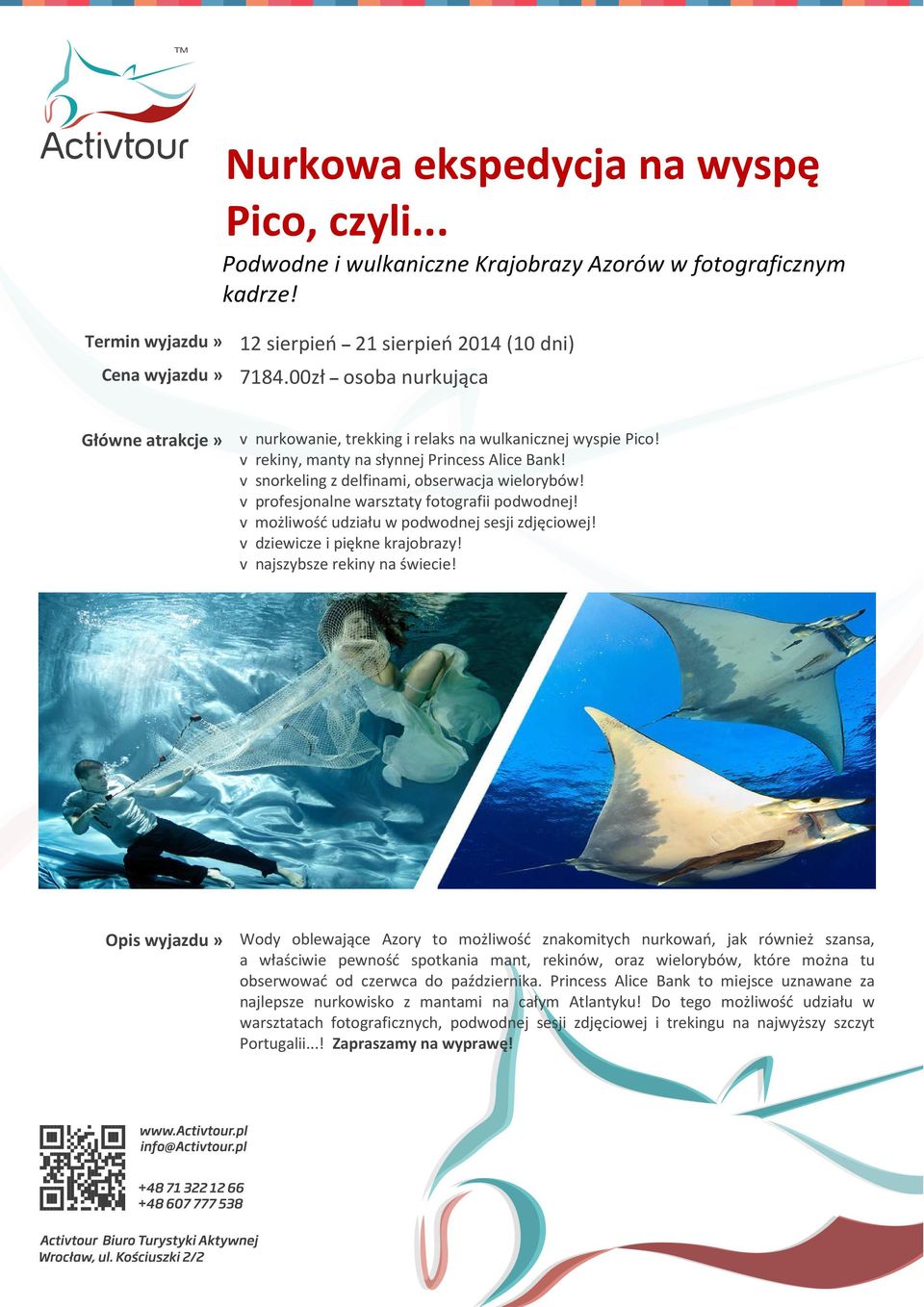 v profesjonalne warsztaty fotografii podwodnej! v możliwość udziału w podwodnej sesji zdjęciowej! v dziewicze i piękne krajobrazy! v najszybsze rekiny na świecie!
