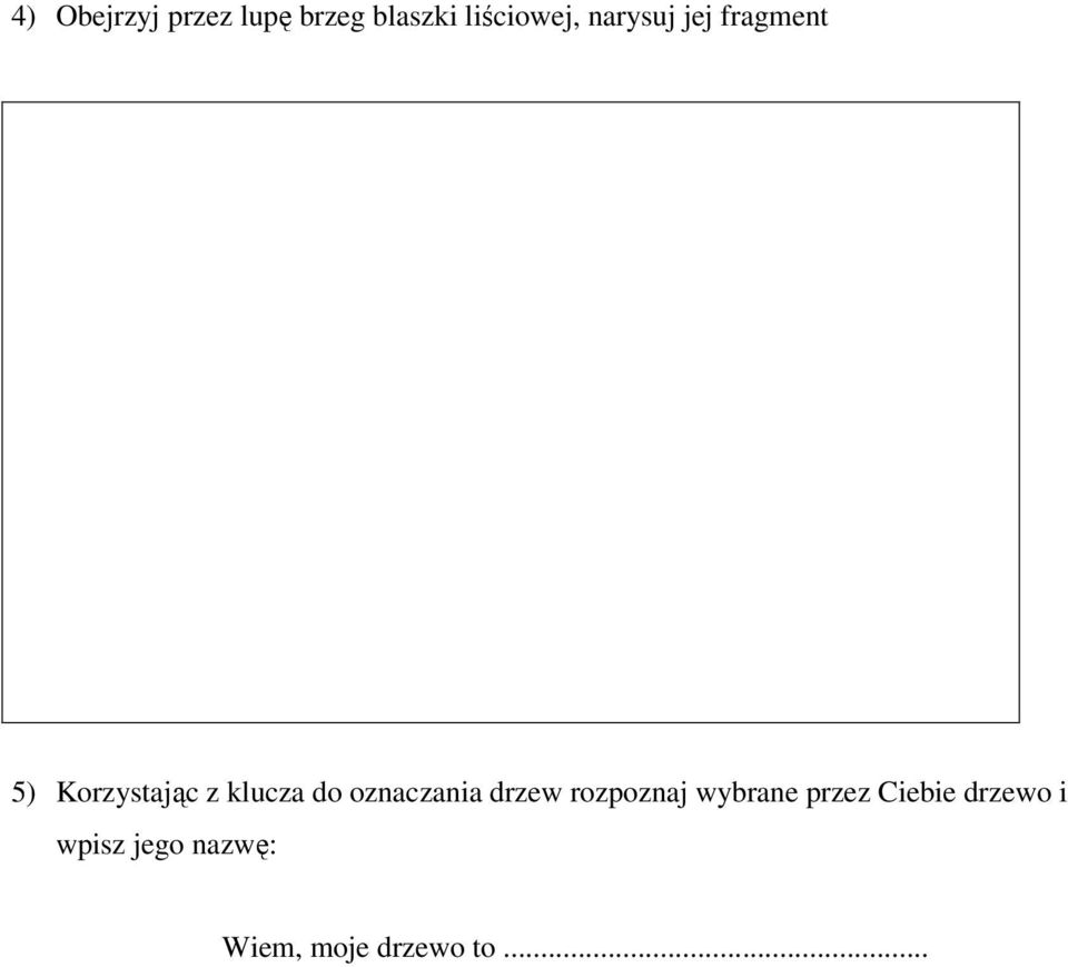 oznaczania drzew rozpoznaj wybrane przez Ciebie