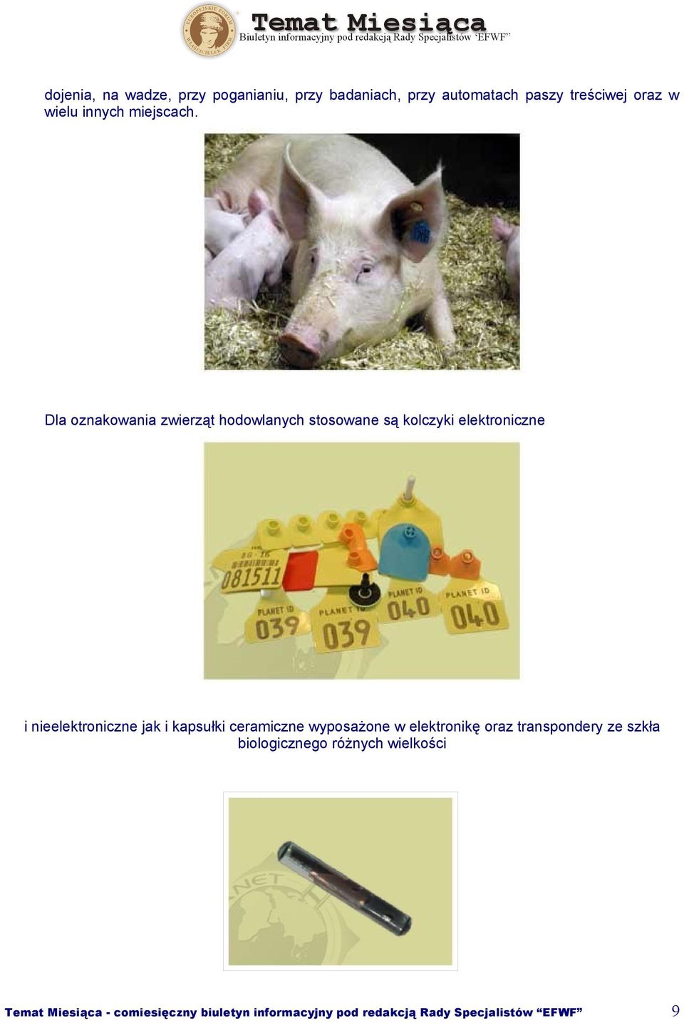 Dla oznakowania zwierząt hodowlanych stosowane są kolczyki elektroniczne i nieelektroniczne jak i