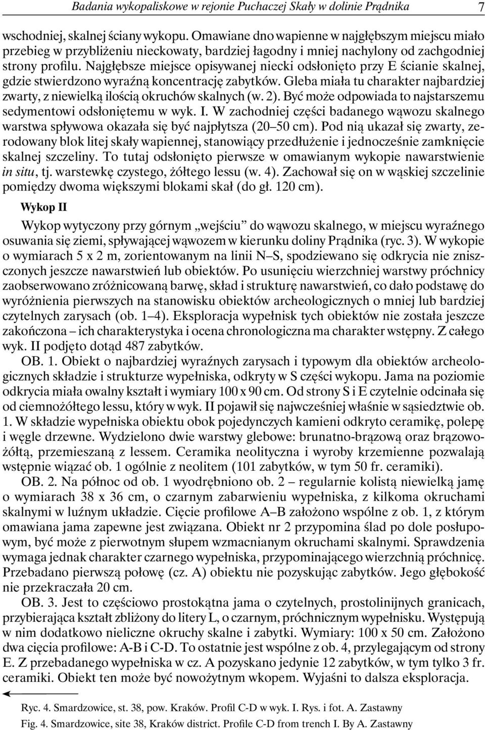 Najgłębsze miejsce opisywanej niecki odsłonięto przy E ścianie skalnej, gdzie stwierdzono wyraźną koncentrację zabytków.