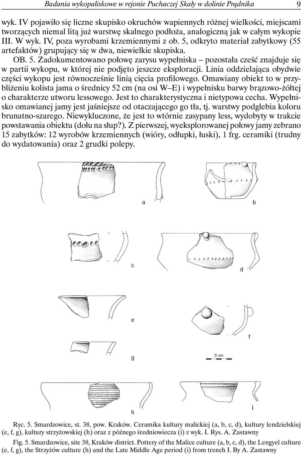 IV, poza wyrobami krzemiennymi z ob. 5, odkryto materiał zabytkowy (55 artefaktów) grupujący się w dwa, niewielkie skupiska. OB. 5. Zadokumentowano połowę zarysu wypełniska pozostała cześć znajduje się w partii wykopu, w której nie podjęto jeszcze eksploracji.