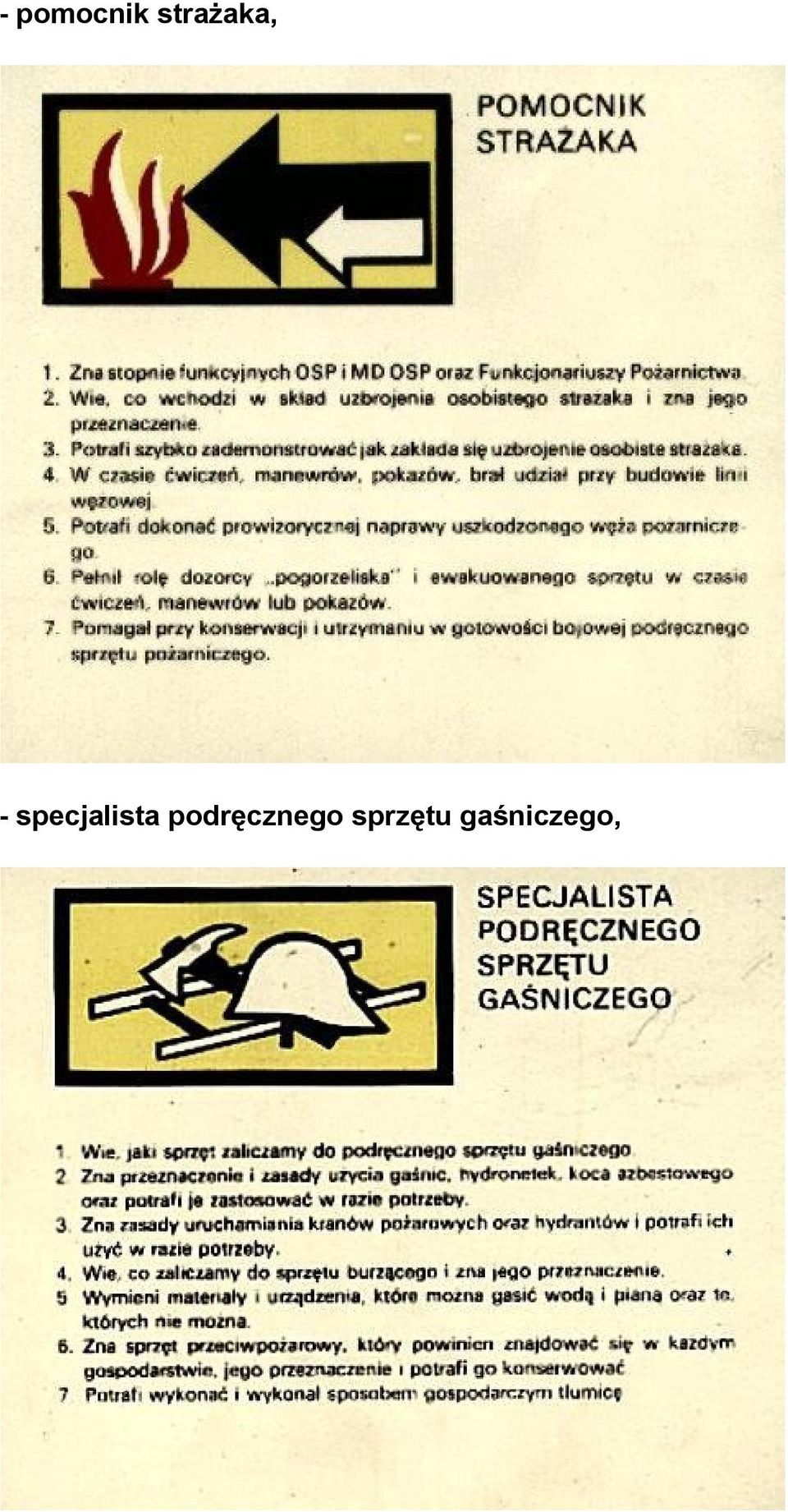 specjalista