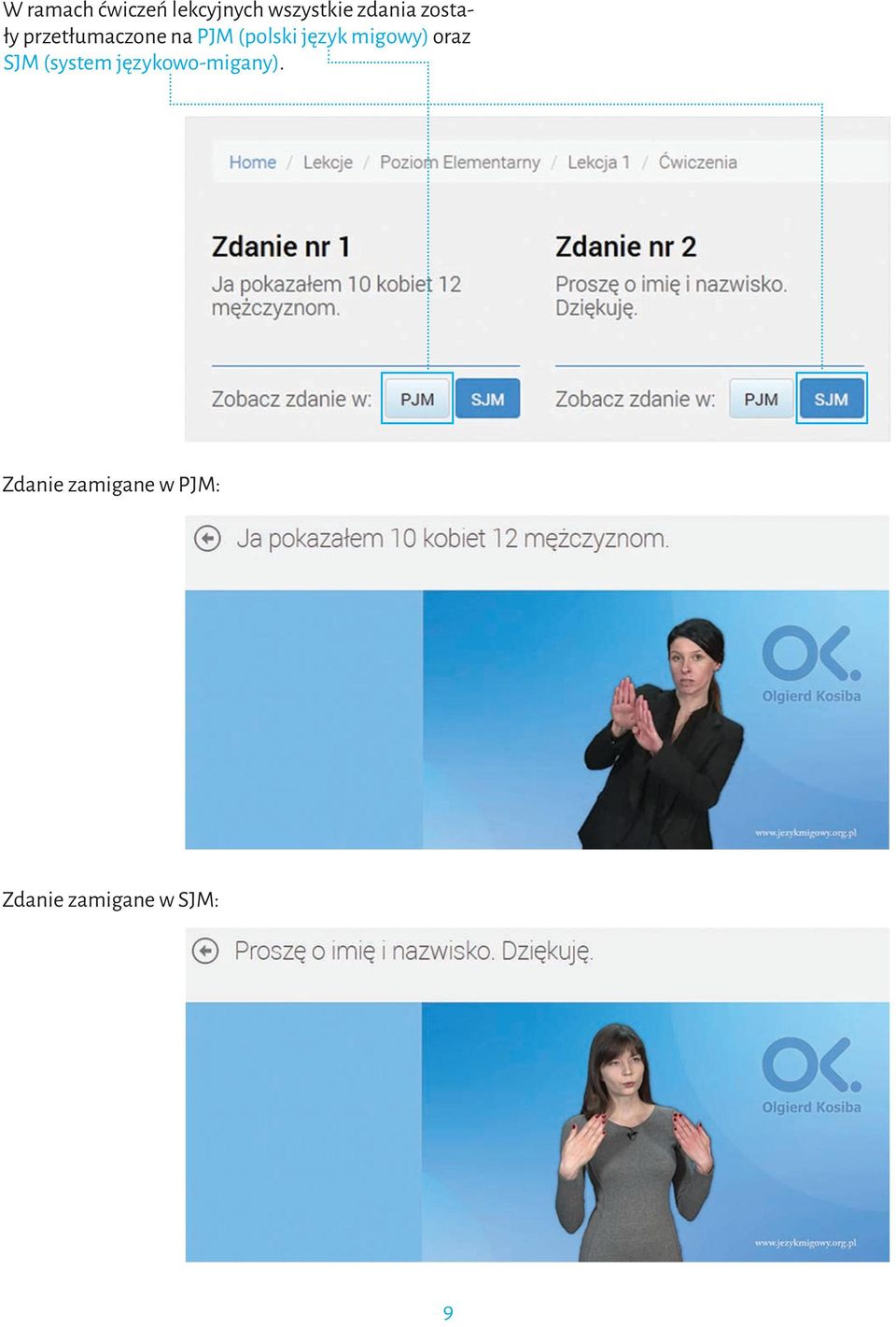 migowy) oraz SJM (system językowo-migany).