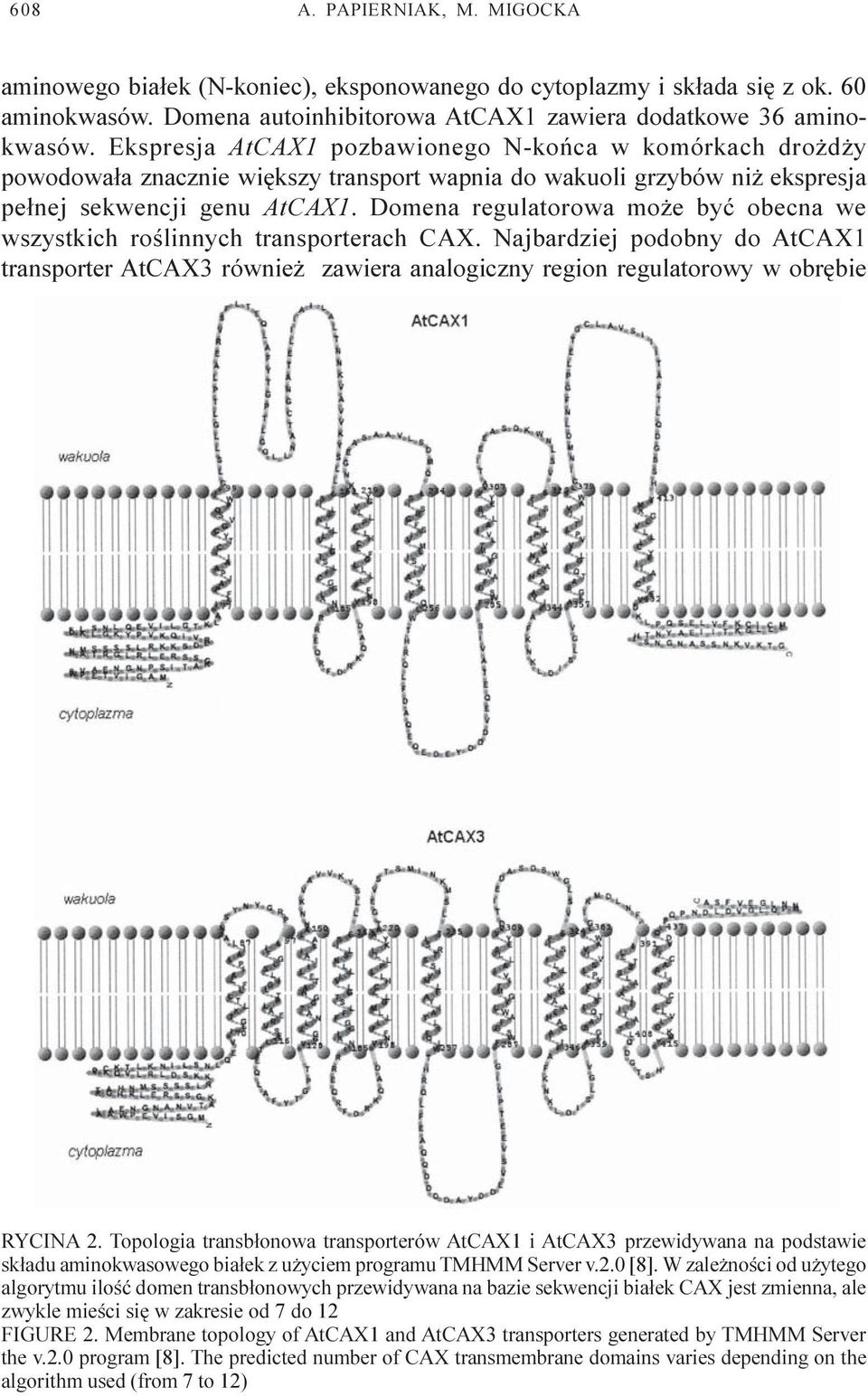 Domena regulatorowa mo e byæ obecna we wszystkich roœlinnych transporterach CAX. Najbardziej podobny do AtCAX1 transporter AtCAX3 równie zawiera analogiczny region regulatorowy w obrêbie RYCINA 2.
