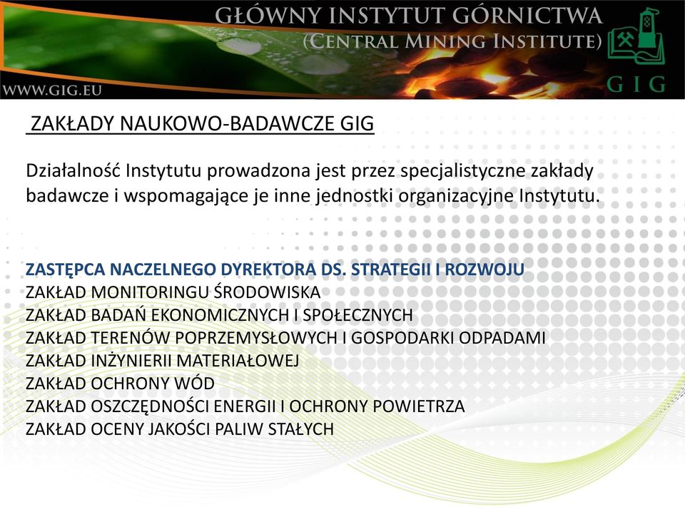 STRATEGII I ROZWOJU ZAKŁAD MONITORINGU ŚRODOWISKA ZAKŁAD BADAŃ EKONOMICZNYCH I SPOŁECZNYCH ZAKŁAD TERENÓW