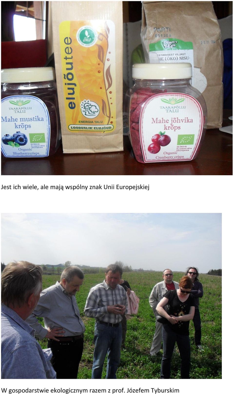 Europejskiej W gospodarstwie