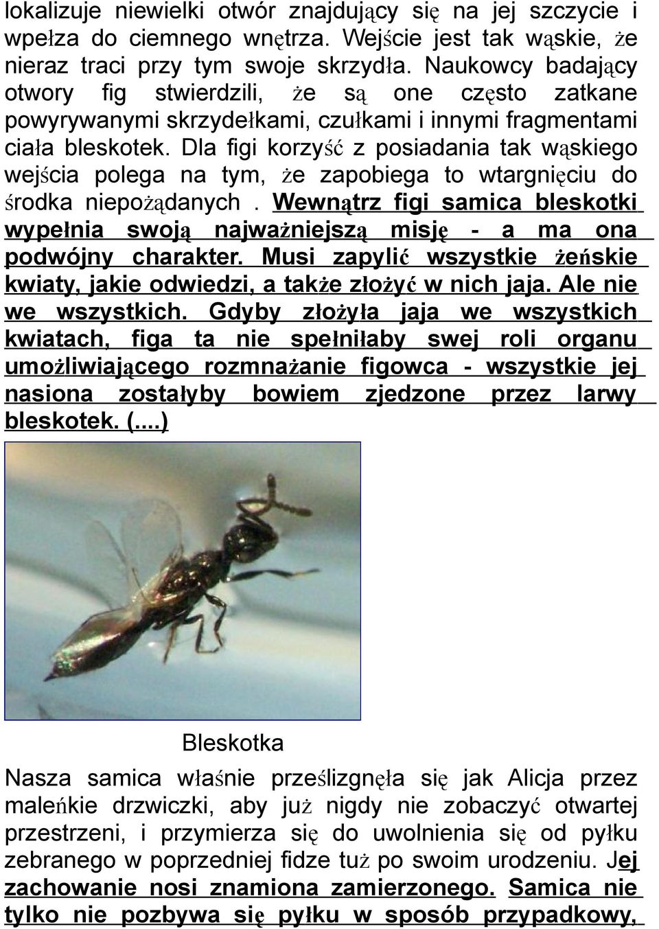 Dla figi korzyść z posiadania tak wąskiego wejścia polega na tym, że zapobiega to wtargnięciu do środka niepożądanych.