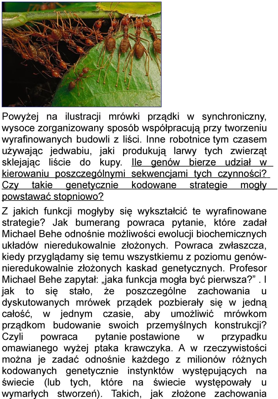 Czy takie genetycznie kodowane strategie mogły powstawać stopniowo? Z jakich funkcji mogłyby się wykształcić te wyrafinowane strategie?