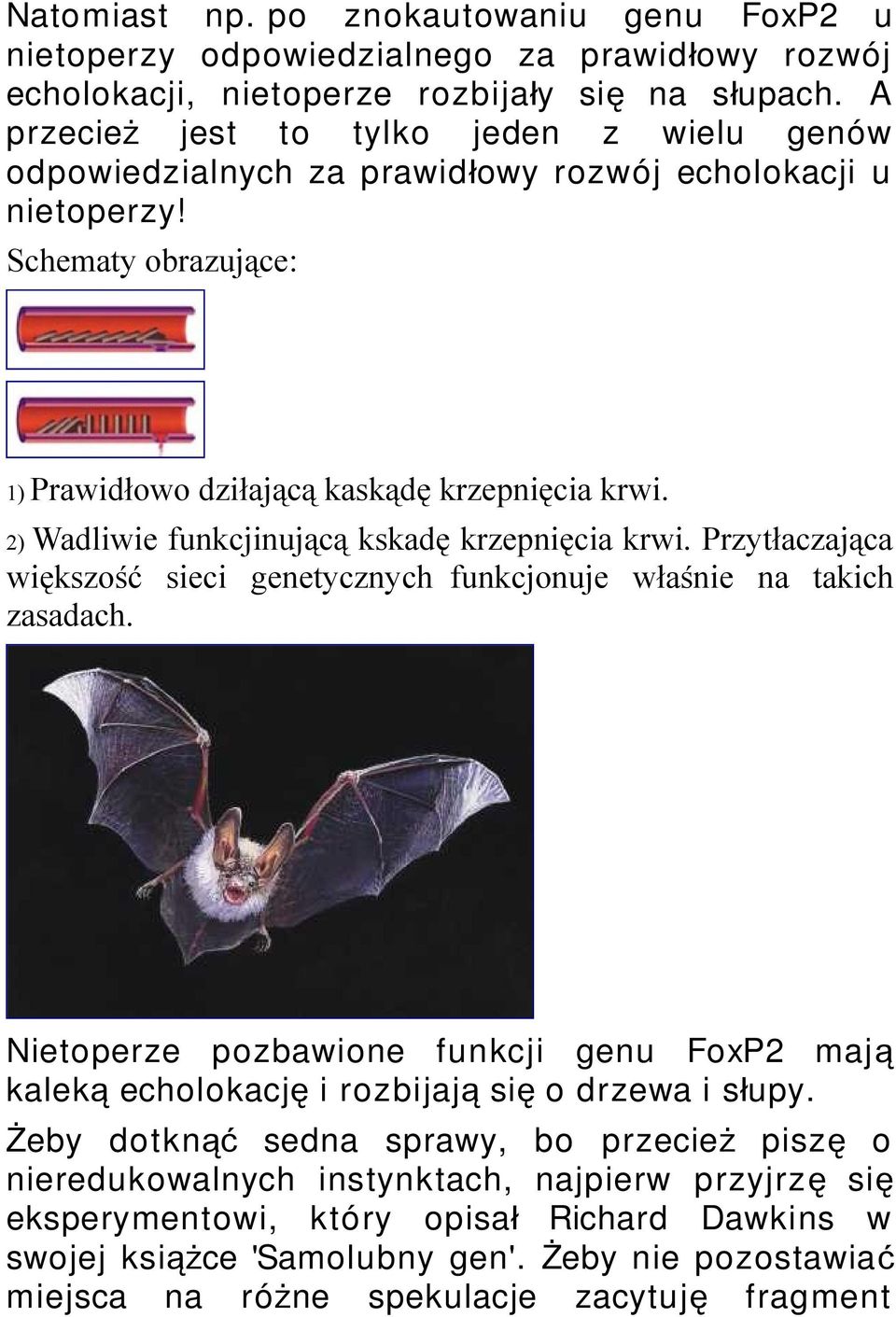 2) Wadliwie funkcjinującą kskadę krzepnięcia krwi. Przytłaczająca większość sieci genetycznych funkcjonuje właśnie na takich zasadach.