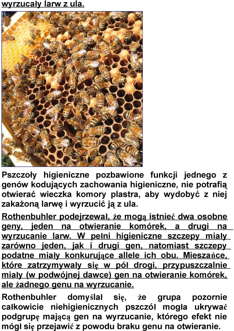 Rothenbuhler podejrzewał, że mogą istnieć dwa osobne geny, jeden na otwieranie komórek, a drugi na wyrzucanie larw.