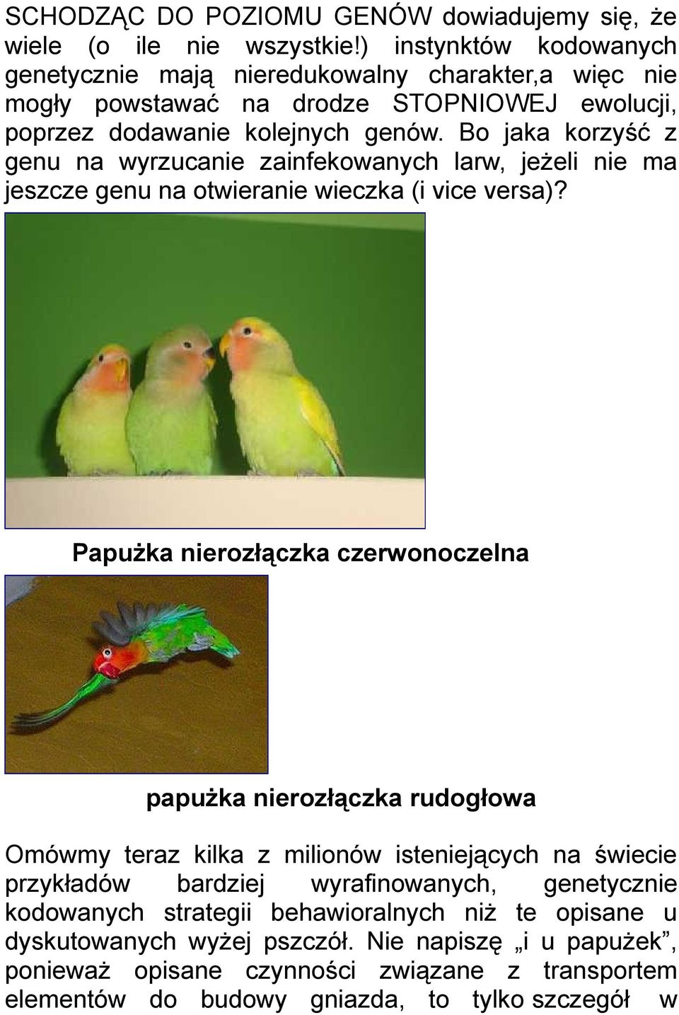 Bo jaka korzyść z genu na wyrzucanie zainfekowanych larw, jeżeli nie ma jeszcze genu na otwieranie wieczka (i vice versa)?