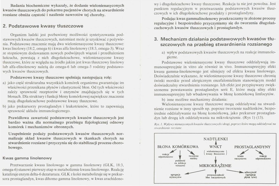 Podstawowe znaczenie mają dwa wielonienasycone kwasy tłuszczowe: kwas linolowy (18:2, omega 6) i kwas alfa linolenowy (18:3, omega-3).