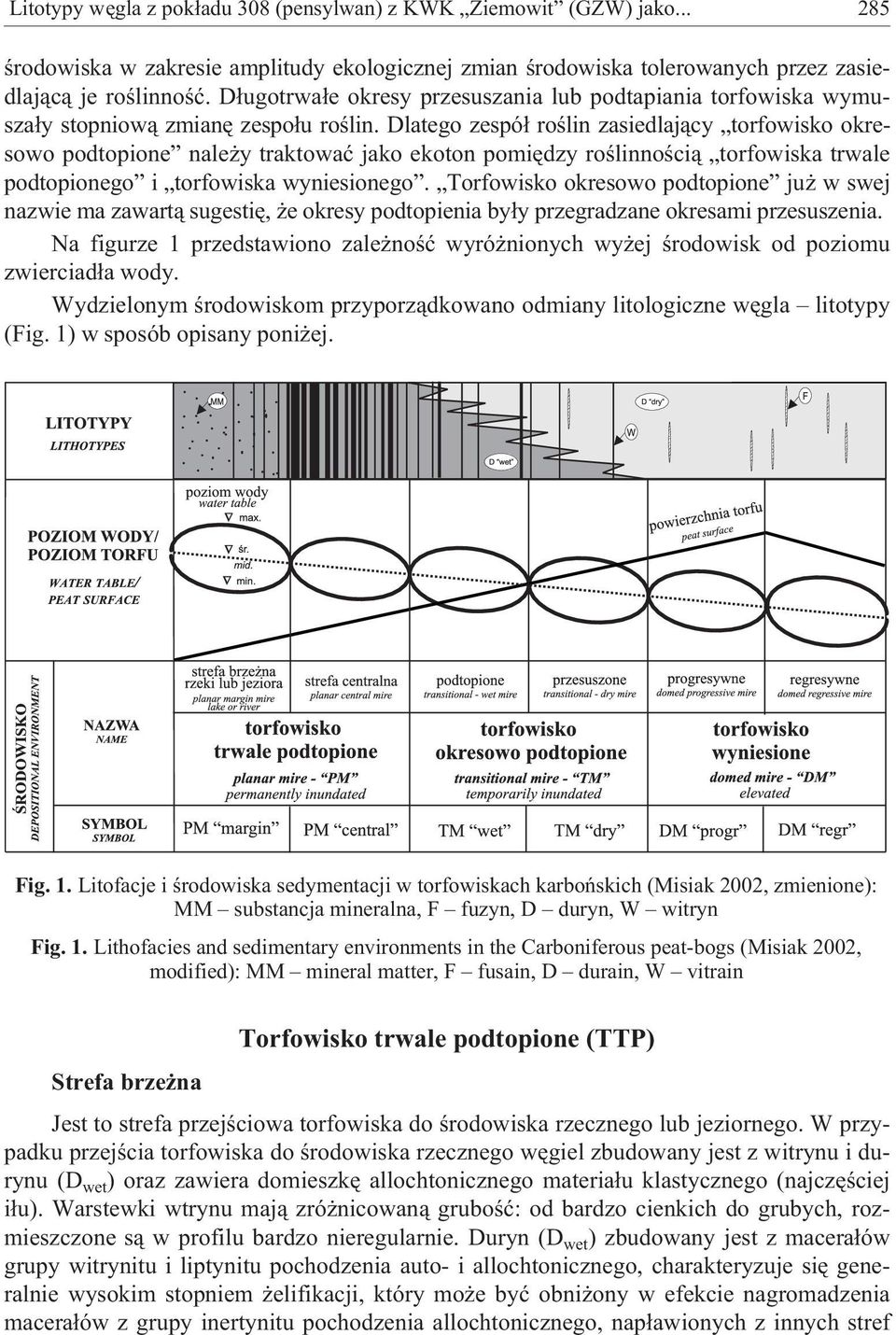 Dlatego zespó³ roœlin zasiedlaj¹cy torfowisko okresowo podtopione nale y traktowaæ jako ekoton pomiêdzy roœlinnoœci¹ torfowiska trwale podtopionego i torfowiska wyniesionego.