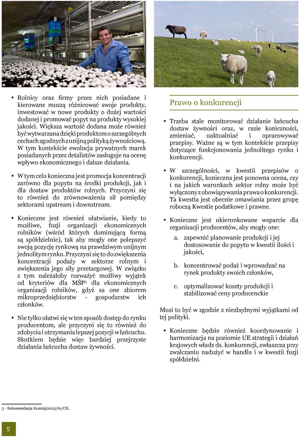 W tym kontekście ewolucja prywatnych marek posiadanych przez detalistów zasługuje na ocenę wpływu ekonomicznego i dalsze działania.