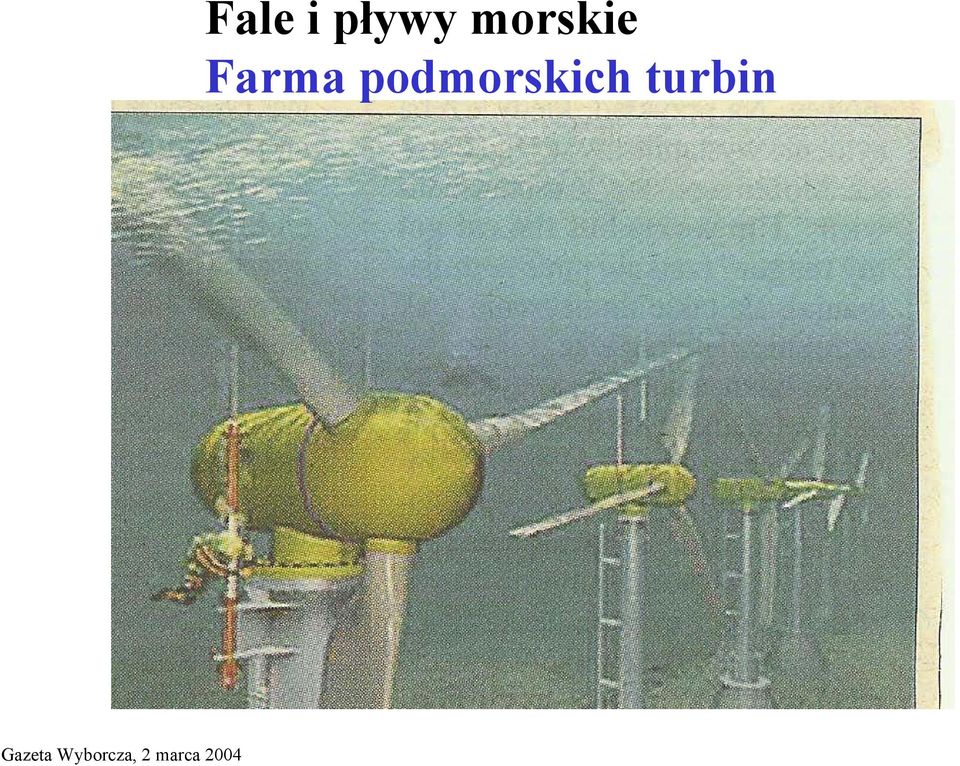 pływy morskie