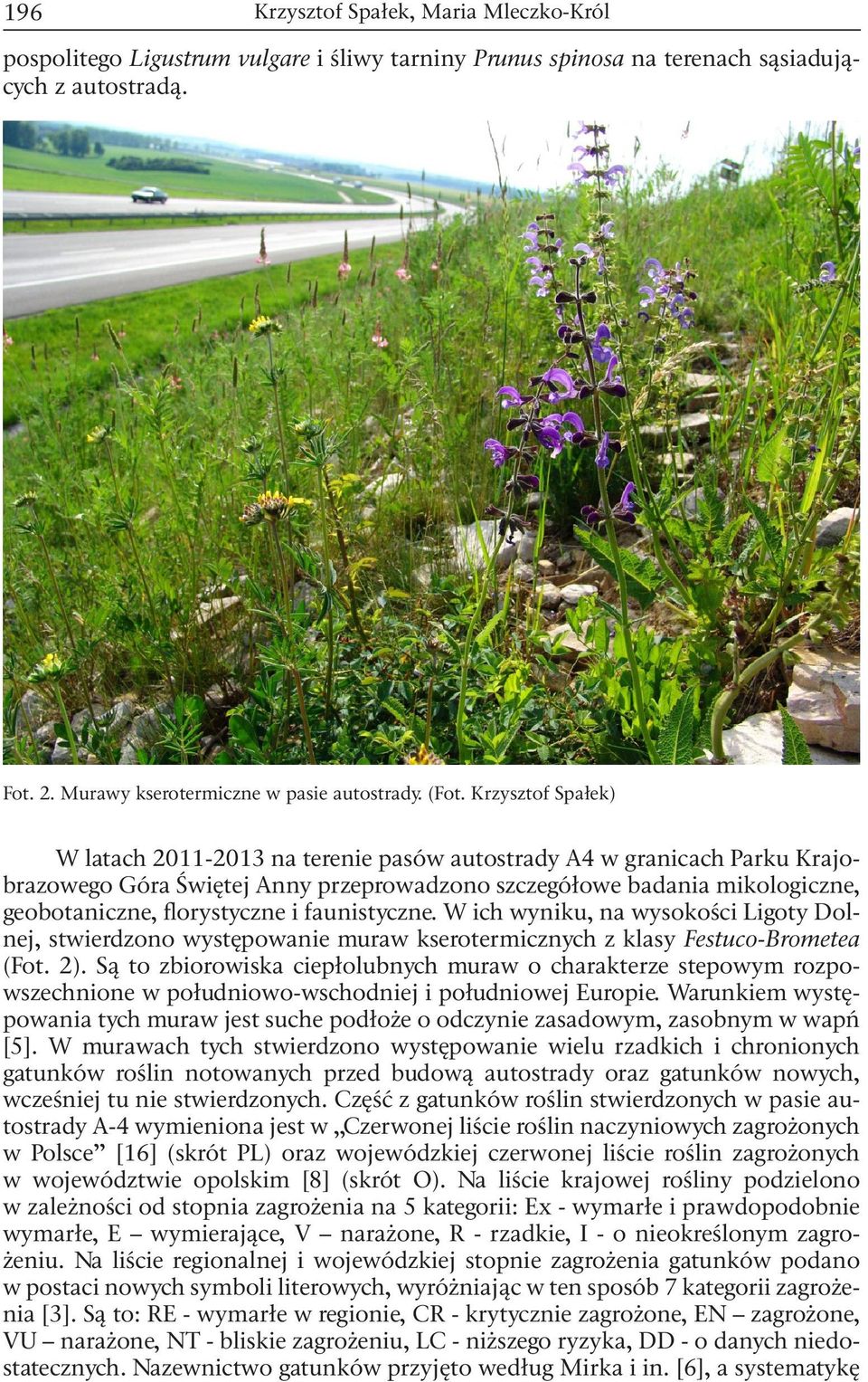 faunistyczne. W ich wyniku, na wysokości Ligoty Dolnej, stwierdzono występowanie muraw kserotermicznych z klasy Festuco-Brometea (Fot. 2).