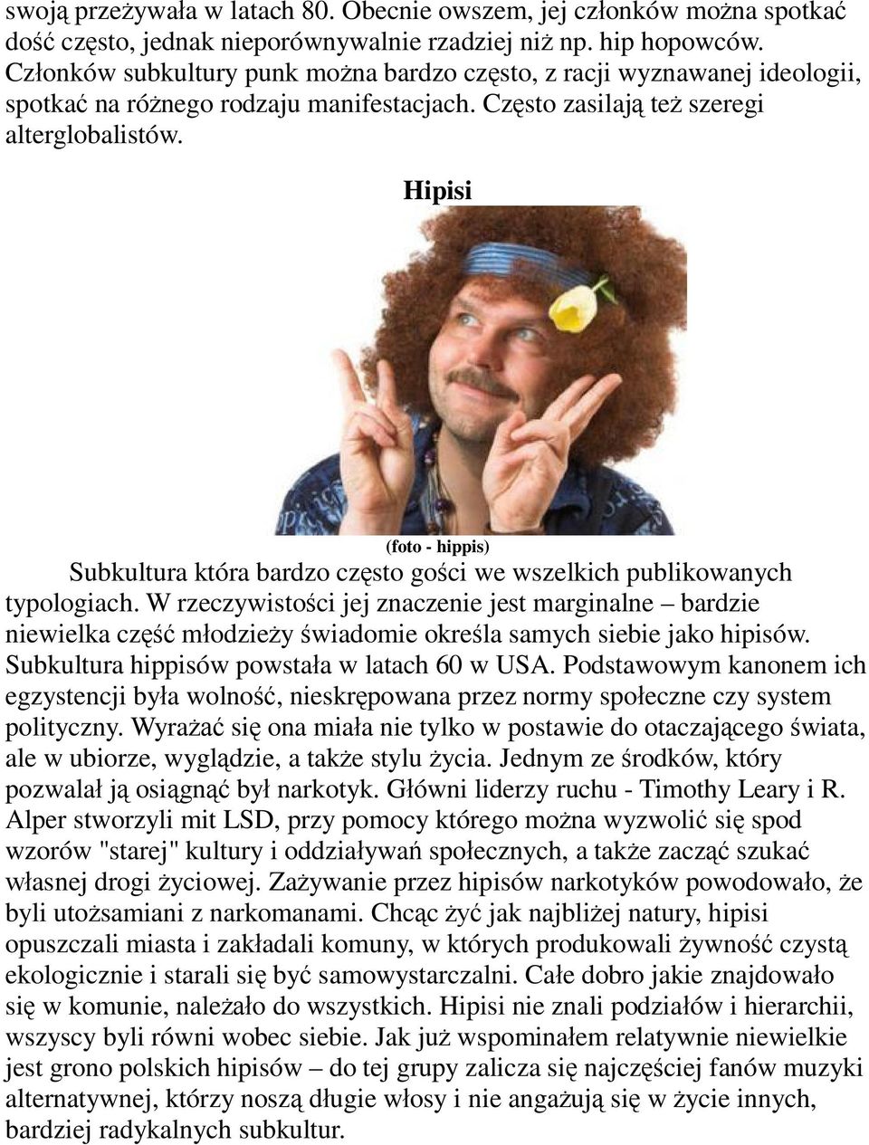 Hipisi (foto - hippis) Subkultura która bardzo cz sto go ci we wszelkich publikowanych typologiach.