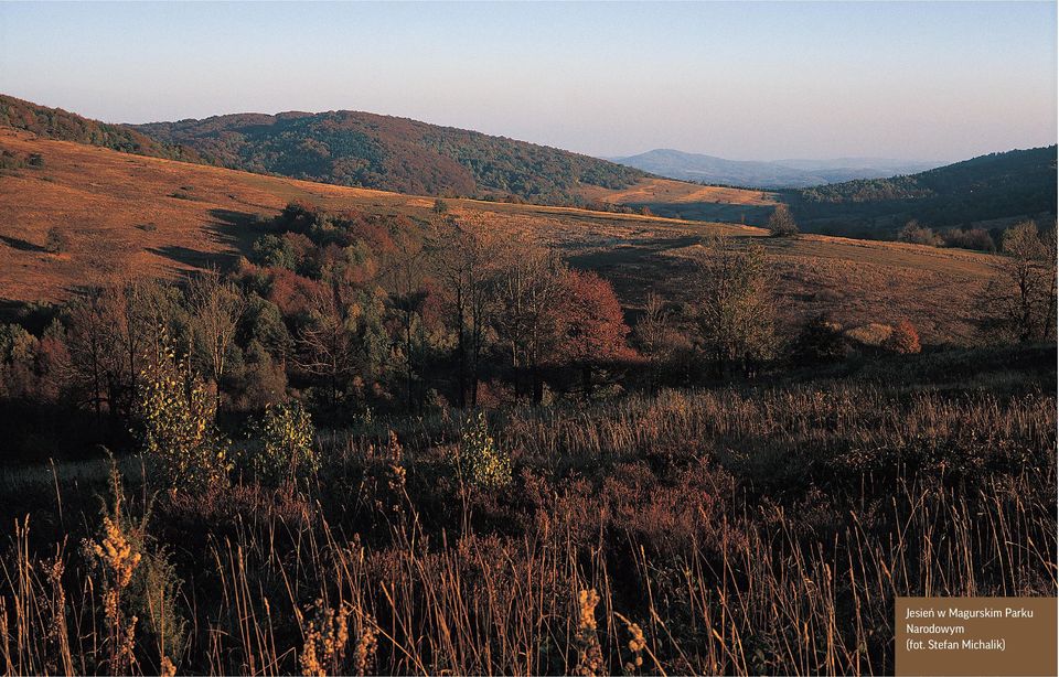 Parku