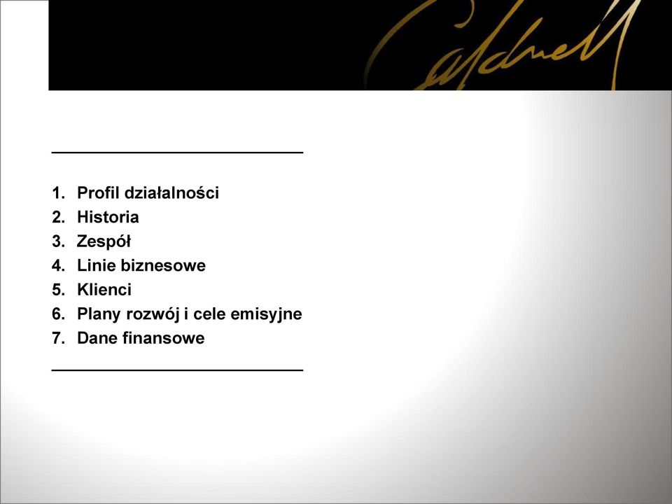Linie biznesowe 5. Klienci 6.