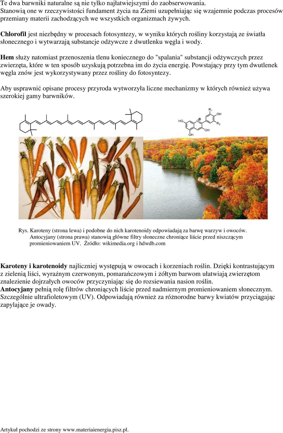 Chlorofil jest niezbędny w procesach fotosyntezy, w wyniku których rośliny korzystają ze światła słonecznego i wytwarzają substancje odżywcze z dwutlenku węgla i wody.