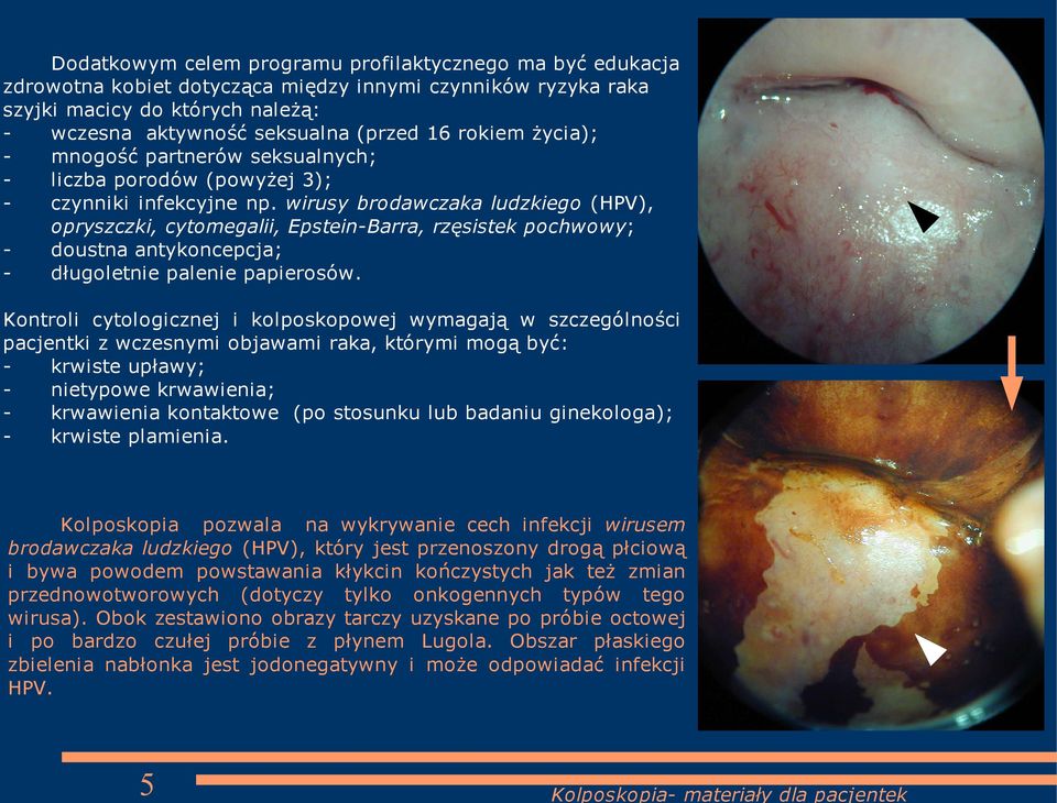 wirusy brodawczaka ludzkiego (HPV), opryszczki, cytomegalii, Epstein-Barra, rzęsistek pochwowy; - doustna antykoncepcja; - długoletnie palenie papierosów.