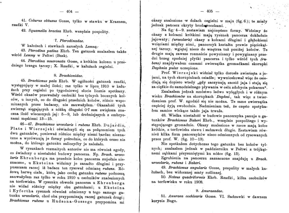 Brachionidae. 4ö. Brachionus pala Ehrb. W og6lnosci gatunek rzadki, wyst~pnjl1cy w malej ilösci; raz tylko w lipcn. 1910 w kalnzach przy cegielni po tygodniowej slocie licznie spotkany.