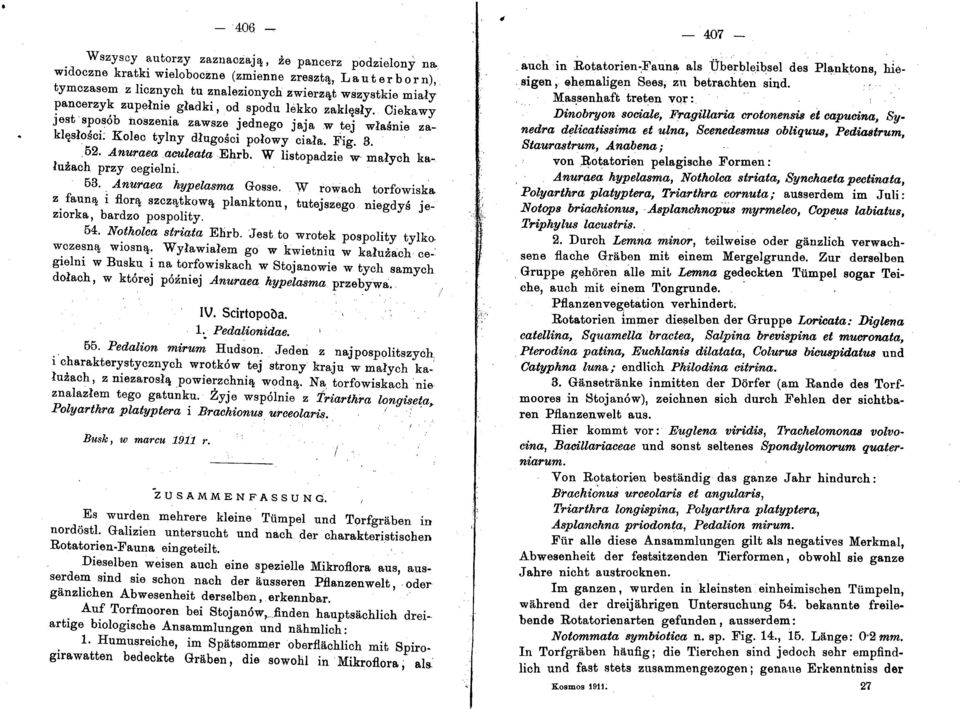Ciekawy jestspos6b noszenia zawsze jednego jaja w tej wlasnie zakl~slosci; Kolec tylny dlugosci polowy ciala. Fig. 3.,52. Anuraea aculeata Ehrb. W listopadzie w' malych kaluzach przy cegielni. 53.
