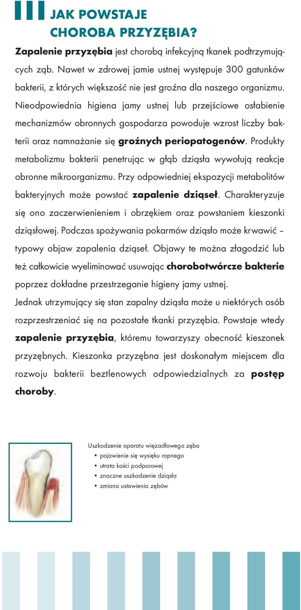 Nieodpowiednia higiena jamy ustnej lub przejściowe osłabienie mechanizmów obronnych gospodarza powoduje wzrost liczby bakterii oraz namnażanie się groźnych periopatogenów.