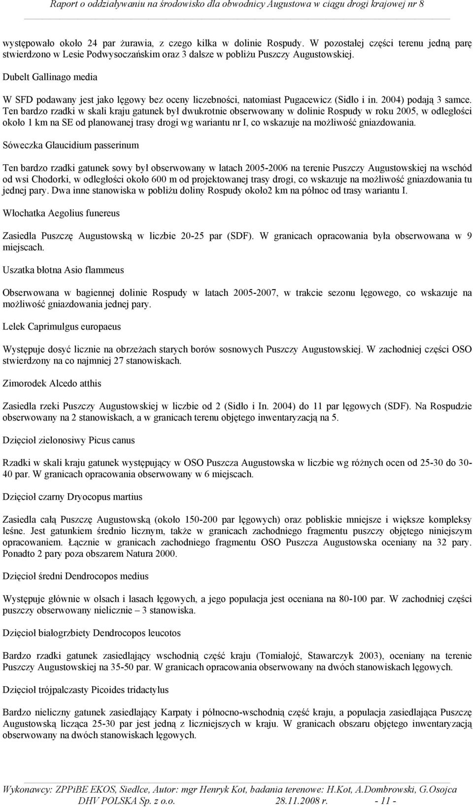 Ten bardzo rzadki w skali kraju gatunek był dwukrotnie obserwowany w dolinie Rospudy w roku 2005, w odległości około 1 km na SE od planowanej trasy drogi wg wariantu nr I, co wskazuje na możliwość