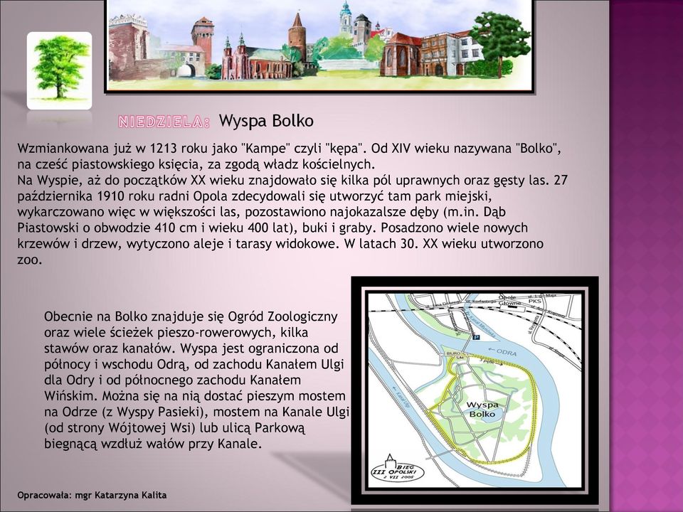 27 października 1910 roku radni Opola zdecydowali się utworzyć tam park miejski, wykarczowano więc w większości las, pozostawiono najokazalsze dęby (m.in.