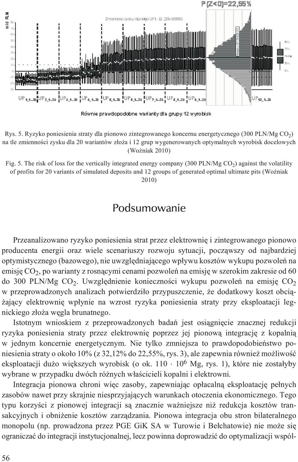 (WoŸniak 2010) Fig. 5.