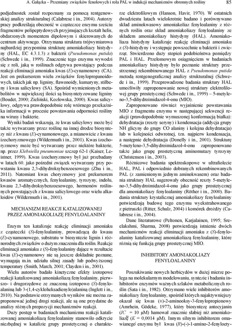 Otrzymana struktura trójwymiarowa najbardziej przypomina strukturę amoniakoliazy histydyny (HAL, EC 4.3.1.3) z bakterii (Pseudomonas putida) (Schwede i in., 1999).