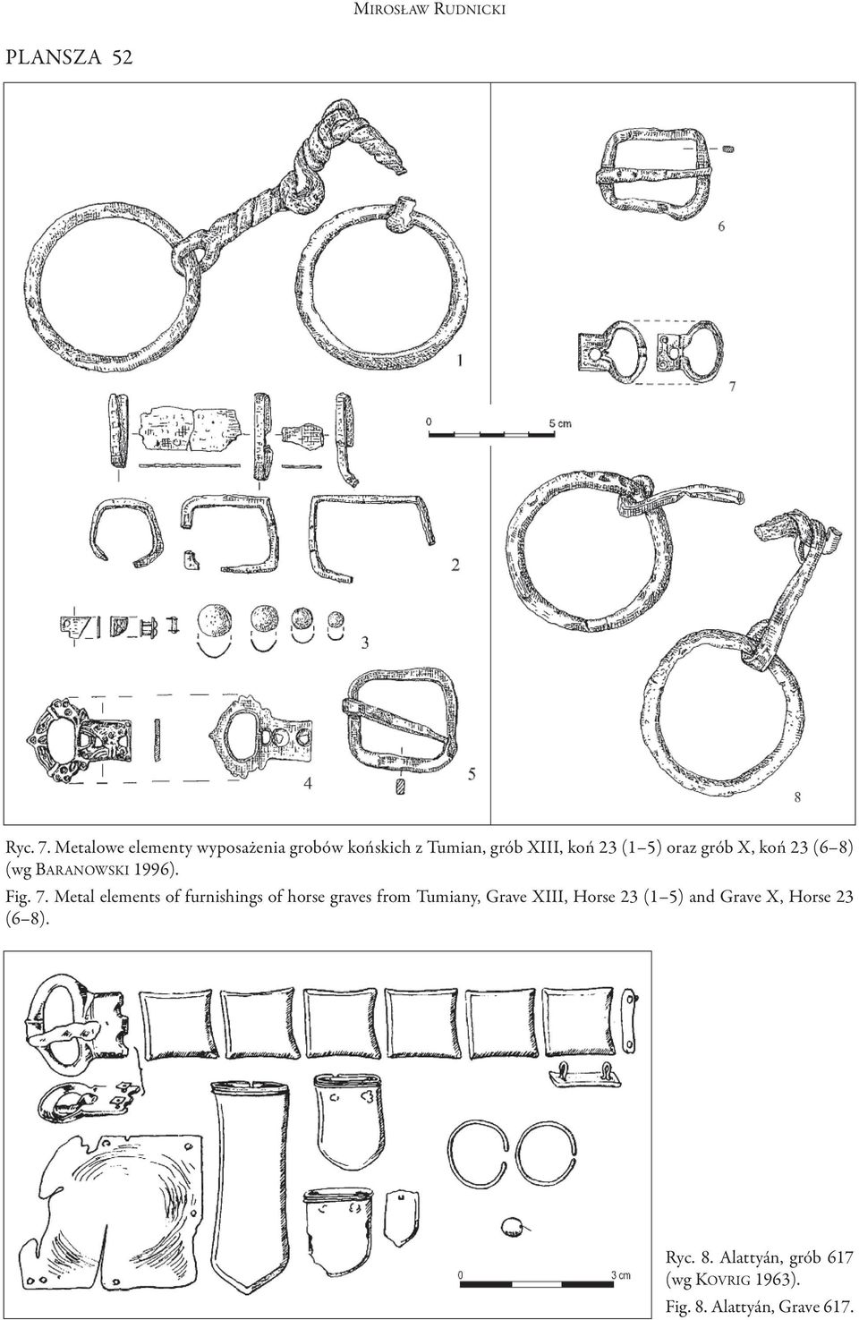 grób X, koń 23 (6 8) (wg BARANoWSKI 1996). Fig. 7.