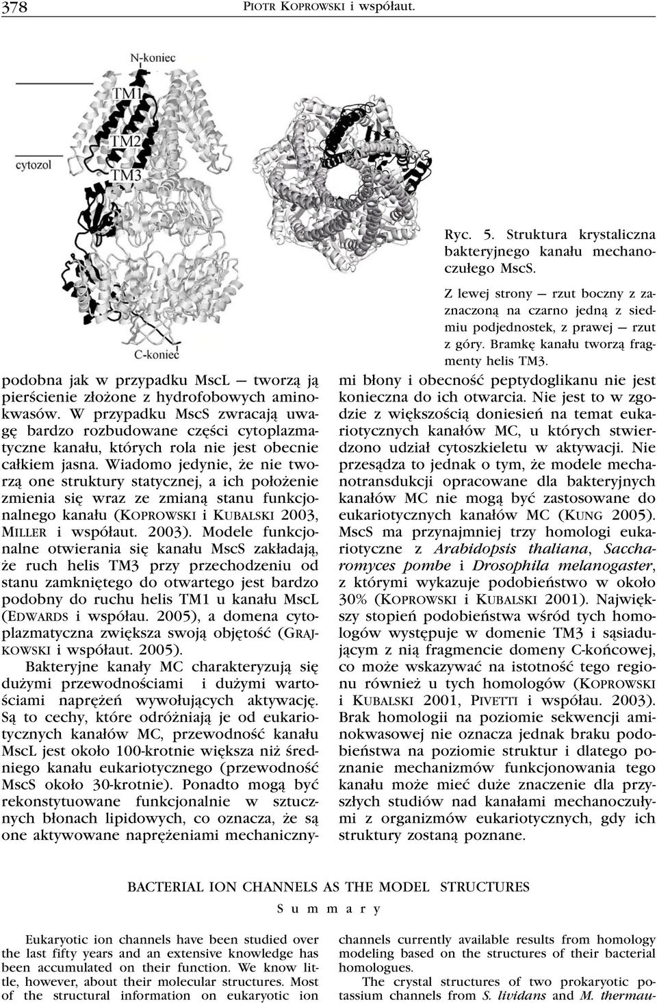 Wiadomo jedynie, że nie tworzą one struktury statycznej, a ich położenie zmienia się wraz ze zmianą stanu funkcjonalnego kanału (Koprowski i Kubalski 2003, Miller i współaut. 2003).