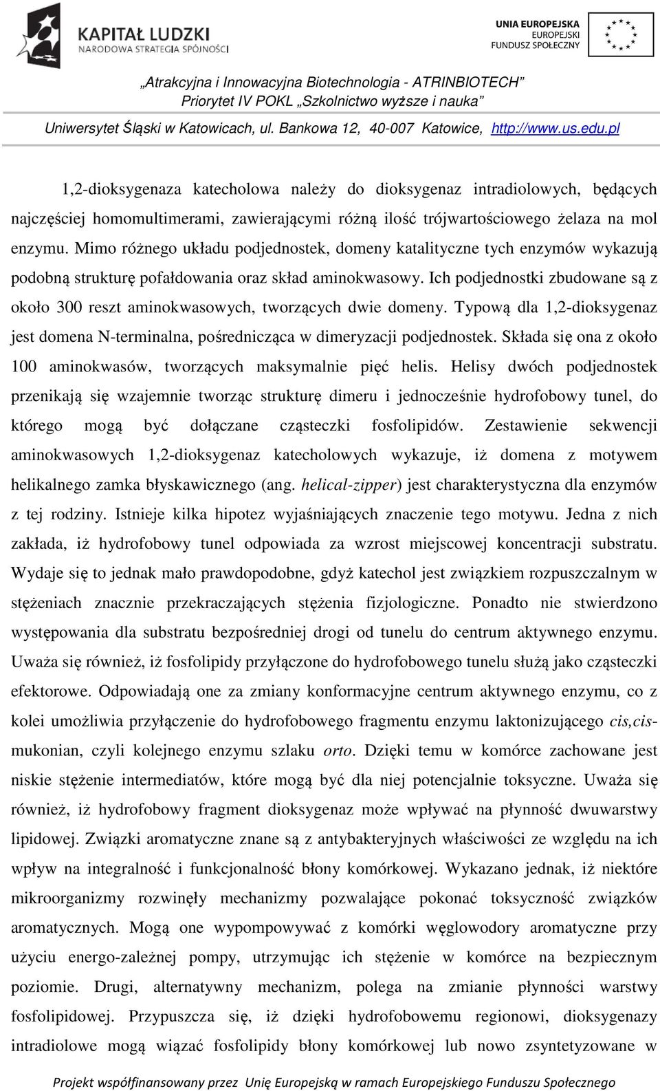 Ich podjednostki zbudowane są z około 300 reszt aminokwasowych, tworzących dwie domeny. Typową dla 1,2-dioksygenaz jest domena N-terminalna, pośrednicząca w dimeryzacji podjednostek.