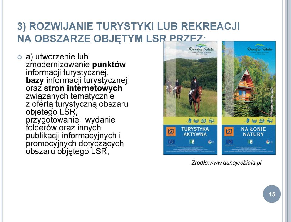 internetowych związanych tematycznie z ofertą turystyczną obszaru objętego LSR, przygotowanie i