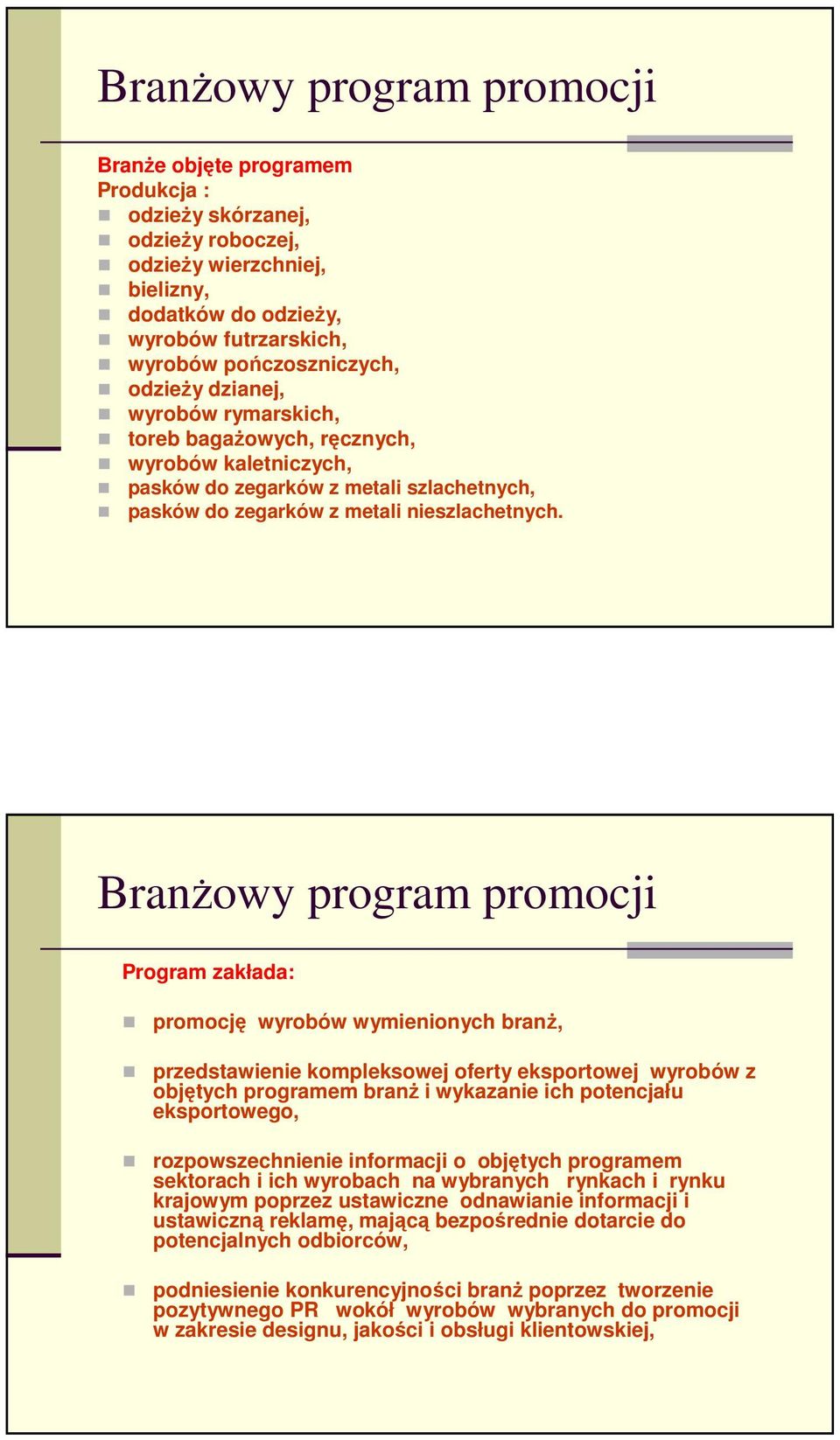 Program zakłada: promocję wyrobów wymienionych branŝ, przedstawienie kompleksowej oferty eksportowej wyrobów z objętych programem branŝ i wykazanie ich potencjału eksportowego, rozpowszechnienie