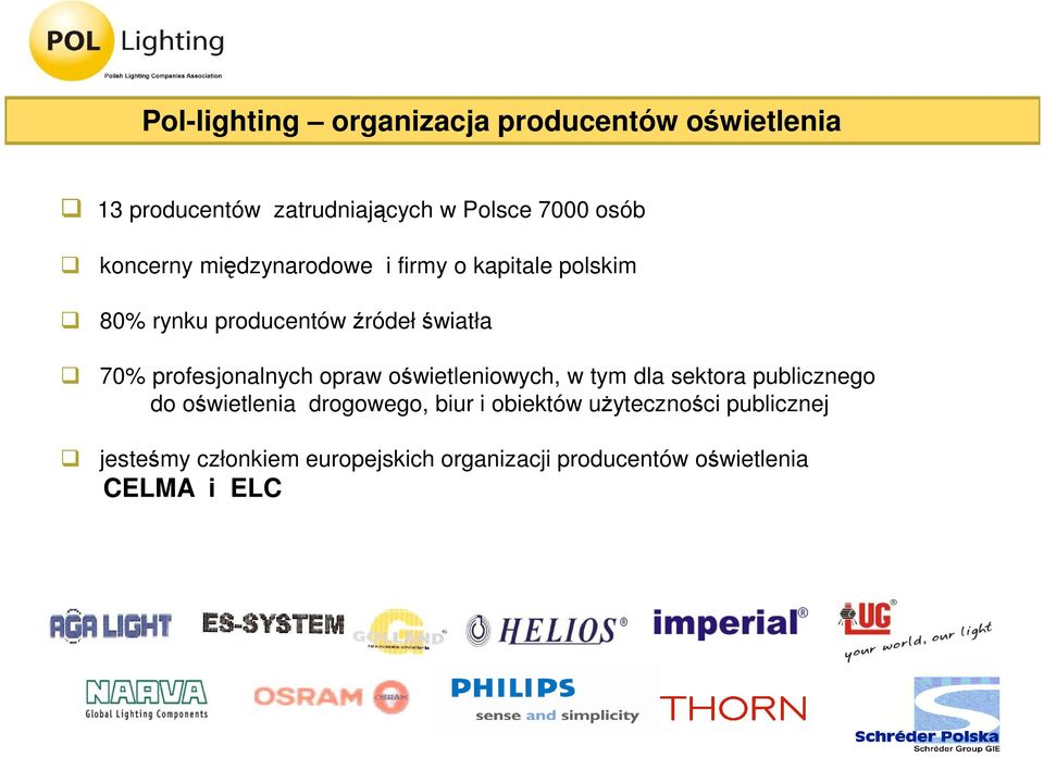 profesjonalnych opraw oświetleniowych, w tym dla sektora publicznego do oświetlenia drogowego, biur i