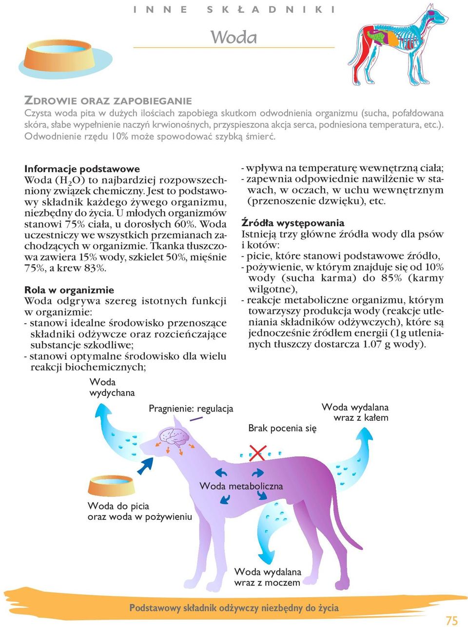 Jest to podstawowy składnik każdego żywego organizmu, niezbędny do życia. U młodych organizmów stanowi 75% ciała, u dorosłych 60%. Woda uczestniczy we wszystkich przemianach zachodzących w organizmie.