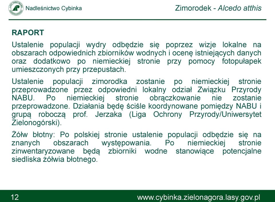 Po niemieckiej stronie obrączkowanie nie zostanie przeprowadzone. Działania będę ściśle koordynowane pomiędzy NABU i grupą roboczą prof. Jerzaka (Liga Ochrony Przyrody/Uniwersytet Zielonogórski).