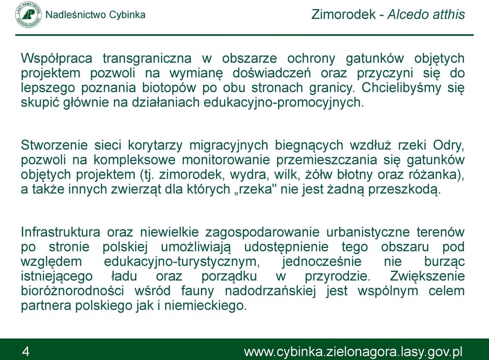 Stworzenie sieci korytarzy migracyjnych biegnących wzdłuż rzeki Odry, pozwoli na kompleksowe monitorowanie przemieszczania się gatunków objętych projektem (tj.