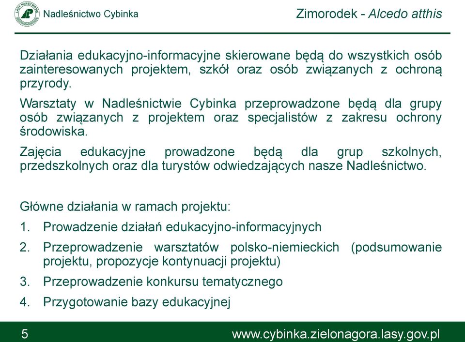 Zajęcia edukacyjne prowadzone będą dla grup szkolnych, przedszkolnych oraz dla turystów odwiedzających nasze Nadleśnictwo. Główne działania w ramach projektu: 1.